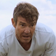 A Dog's Purpose